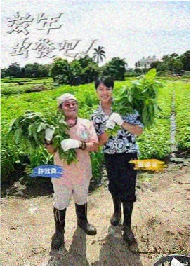 极限开麦 综艺节目免费在线看